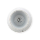 [Nekoichi] 貓食碗 有腿 淺口廣口 貓圖案